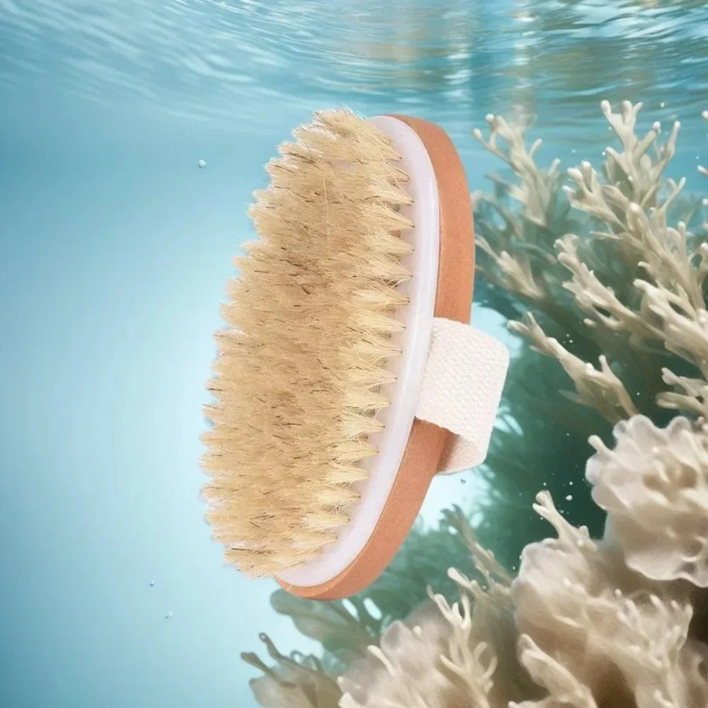 Natural Bristle Dry Body Brush For Effective Skin Exfoliation