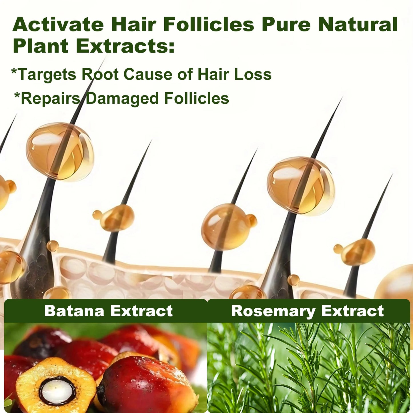 Tgideas Rosemary Batana Oil Shampoo For Hair Growth